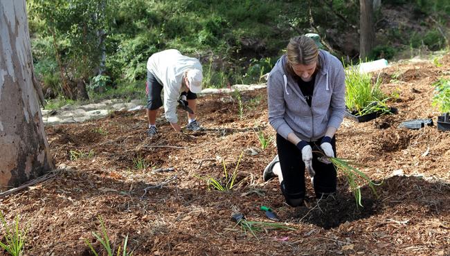 Major weed infestation and rubbish was cleared before Centor arrived to plant trees