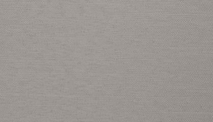 Silver シルバー